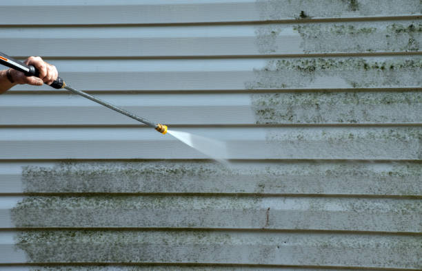 Best Building Exterior Washing  in Hamilton, AL