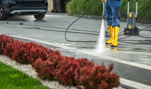 Best House Exterior Washing  in Hamilton, AL